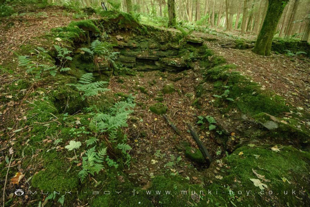 The old grotto or sunken garden at Blackhurst