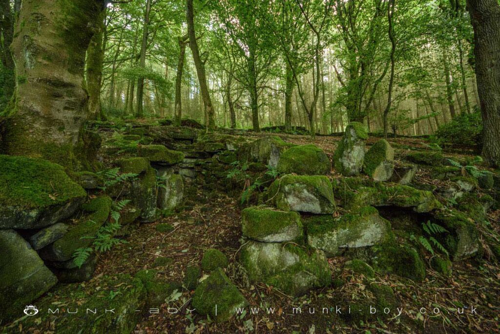Lost garden paths at Blackhurst