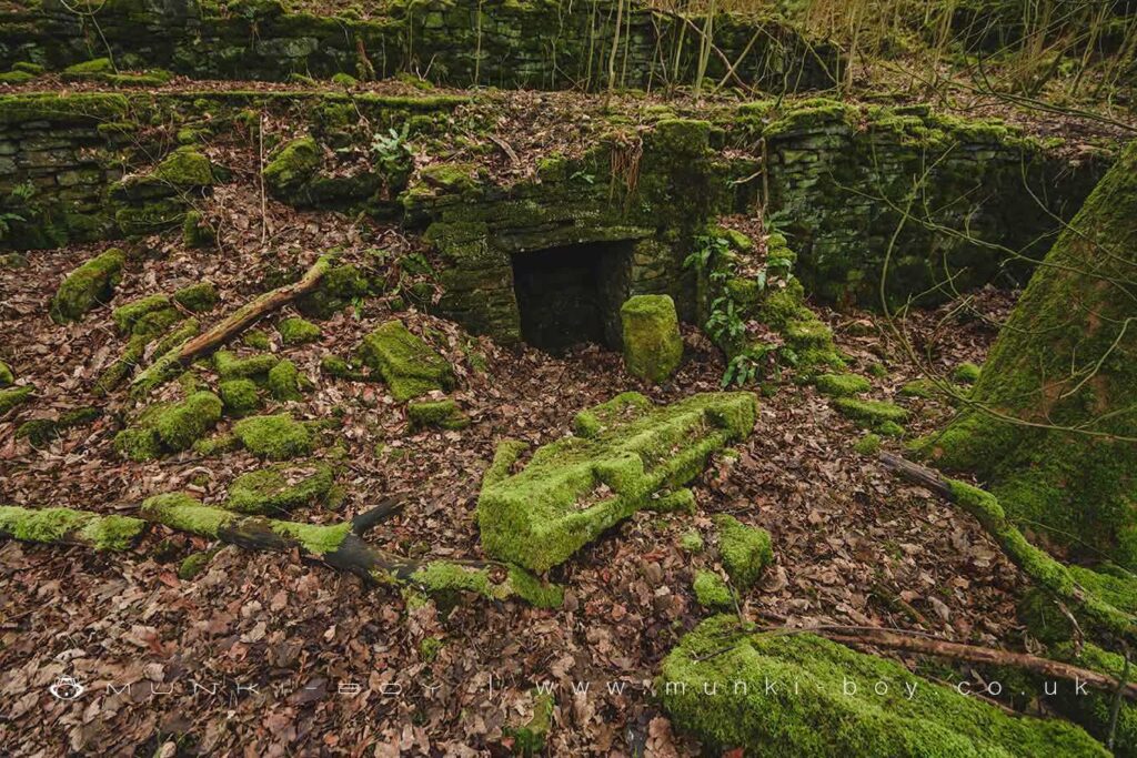 An old covered spring behind the ruins of Heatherlea