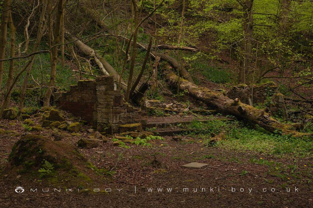 Ruined Shelter in Sunnyhurst Wood