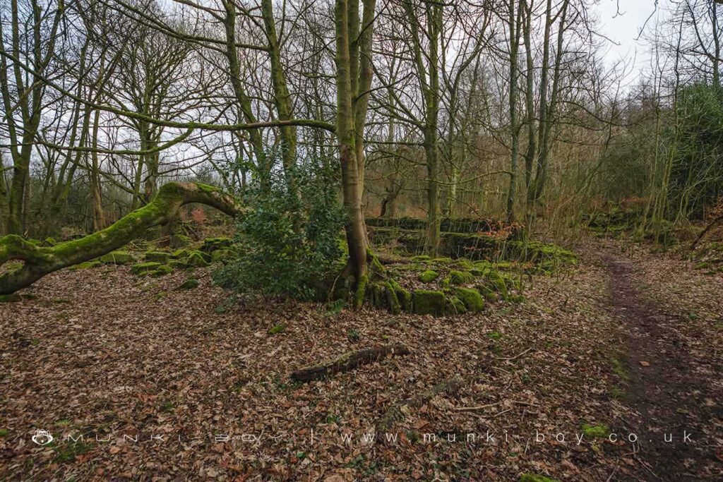 Ruins of Heatherlea with Stone Walled Banks at Rear