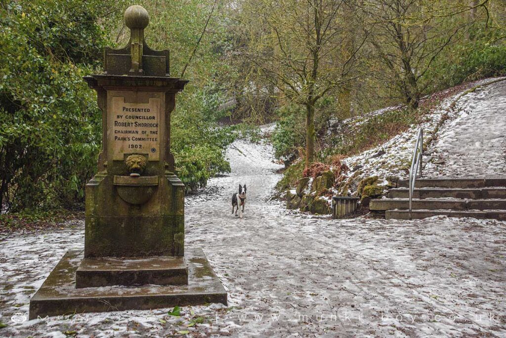 The Shorrock Drinking Fountain in Bold Venture Park