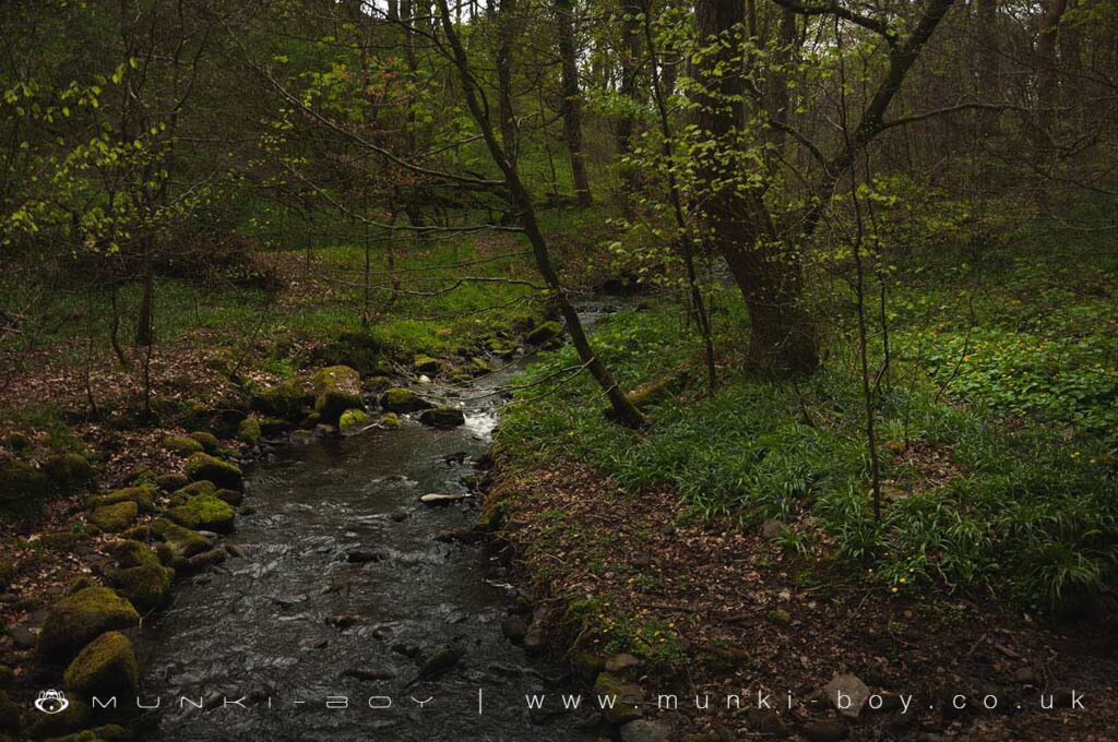 Sunnyhurst Brook