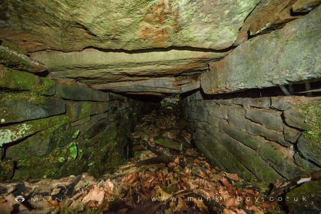The little tunnel or bridge leading to the sunken garden or grotto at Blackhurst